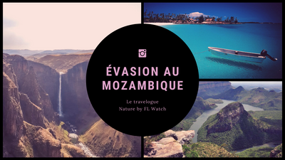 Flucht nach Mosambik